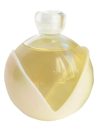 عطر ادکلن نوا گلد کاشرِل - Noa Gold Cacharel - بررسی، قیمت و خرید
