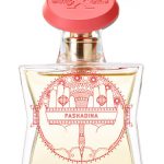 عطر ادکلن پشادینا بیلی ایکس کلاب - Pashadina BillyXClub - بررسی، قیمت و خرید