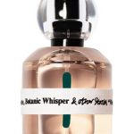 عطر ادکلن باتانیک ویسپر اند ادر استوریز - Botanic Whisper And Other Stories - بررسی، قیمت و خرید