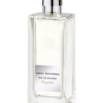 عطر ادکلن اُ دو کلُن بِرگاموتا آنجل شلسر - Eau de Cologne Bergamota Angel Schlesser - بررسی، قیمت و خرید