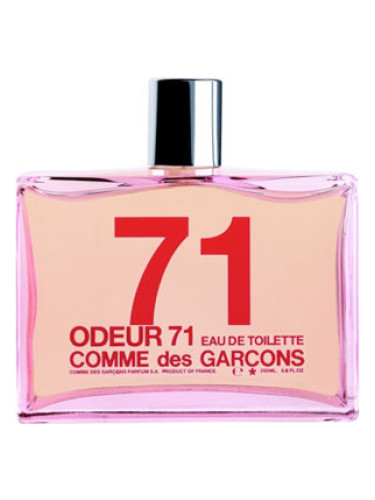 عطر ادکلن اودور هفتاد و یک کومه د گارسون - Odeur 71 Comme des Garcons - بررسی، قیمت و خرید