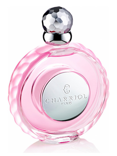 عطر ادکلن یانگ فور اور چریول - Young For Ever Charriol - بررسی، قیمت و خرید