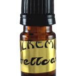عطر ادکلن هلکت آلکمیا پرفیومز - Hellcat Alkemia Perfumes - بررسی، قیمت و خرید