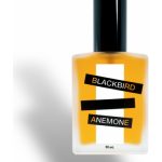 عطر ادکلن انمون بِلَک‌بِرد - Anemone Blackbird - بررسی، قیمت و خرید