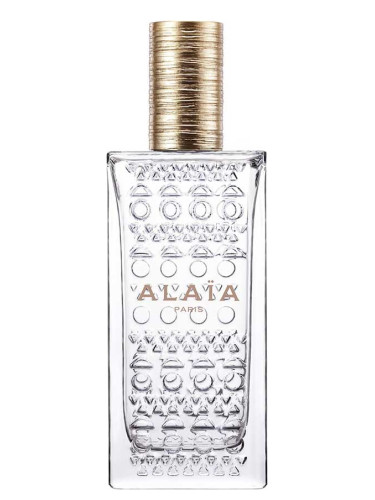 عطر ادکلن علیه او دو پرفیوم بلانش الایا پاریس - Alaïa Eau de Parfum Blanche Alaia Paris - بررسی، قیمت و خرید