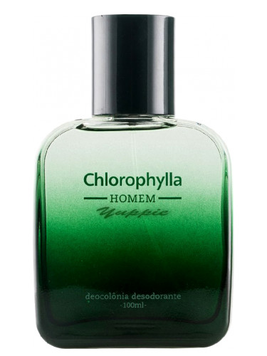 عطر ادکلن کلروفیلا هوم کلروفیلا - Chlorophylla Homem Chlorophylla - بررسی، قیمت و خرید