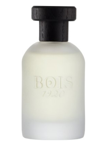 عطر ادکلن کلاسیک نوزده بیست بوآی 1920 - Classic 1920 Bois 1920 - بررسی، قیمت و خرید
