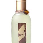 عطر ادکلن اَنسِنس آلیسیا میلور - Encens Alicia Milor - بررسی، قیمت و خرید