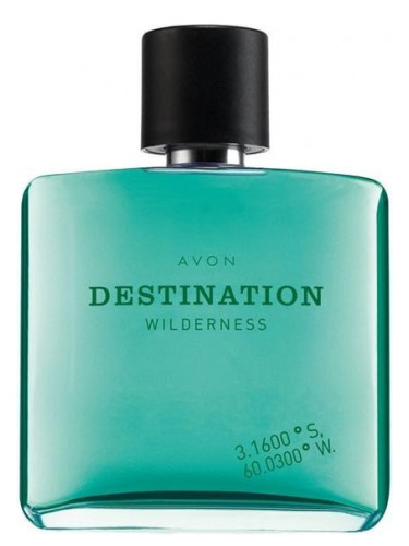 عطر ادکلن دستینیشن ویلدِرنِس ایوان - Destination Wilderness Avon - بررسی، قیمت و خرید