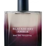 عطر ادکلن بلک بری امبر بث اند بادی ورکز - Blackberry Amber Bath & Body Works - بررسی، قیمت و خرید