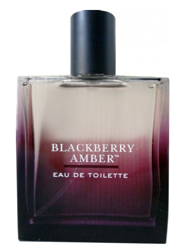 عطر ادکلن بلک بری امبر بث اند بادی ورکز - Blackberry Amber Bath & Body Works - بررسی، قیمت و خرید