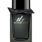 عطر ادکلن مستر باربری ادو پرفیوم بربری - Mr. Burberry Eau de Parfum Burberry - بررسی، قیمت و خرید