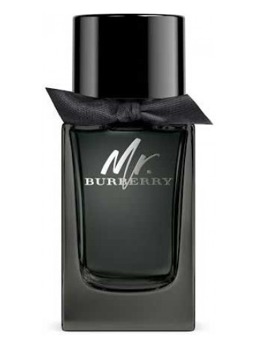 عطر ادکلن مستر باربری ادو پرفیوم بربری - Mr. Burberry Eau de Parfum Burberry - بررسی، قیمت و خرید