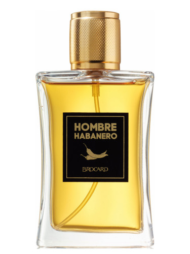 عطر ادکلن عومبره هابانرو بروکارد - Hombre Habanero Brocard - بررسی، قیمت و خرید