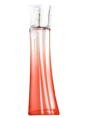 عطر ادکلن آگوا د بامبو اگزوستیک فور هر آدولفو دومینگز - Agua de Bambu Exotic for Her Adolfo Dominguez - بررسی، قیمت و خرید