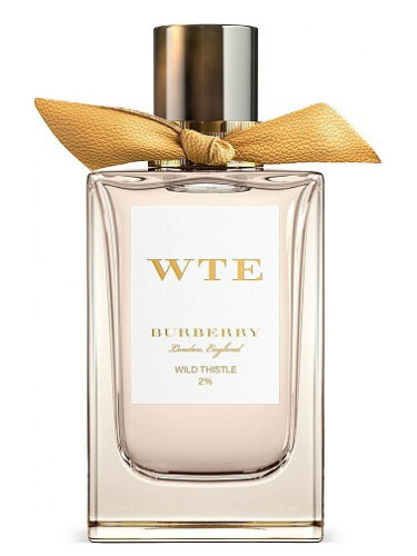 عطر ادکلن وایلد تیسل بربری - Wild Thistle Burberry - بررسی، قیمت و خرید