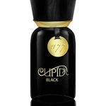 عطر ادکلن کیوپید بلک ۱۱۷۷ کیوپید پرفیومز - Cupid Black 1177 Cupid Perfumes - بررسی، قیمت و خرید