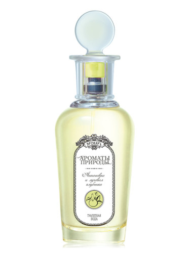 عطر ادکلن آنتونوکا و ویلد استرابری بروکارد - Антоновка и луговая клубника - Antonovka and Wild Strawberry Brocard - بررسی، قیمت و خرید