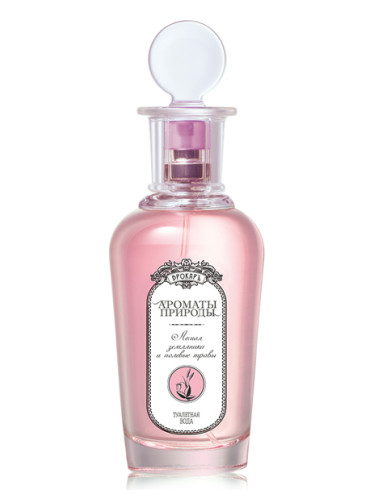 عطر ادکلن وایلد استرابری اند هرپس بروکارد - Лесная земляника и полевые травы - Wild Strawberry and Herbs Brocard - بررسی، قیمت و خرید