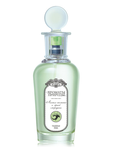 عطر ادکلن لیستیا توماتا ای چرنو سمورادینی بروکارد - Листья томата и черной смородины - Tomato and Black Currant Leaves Brocard - بررسی، قیمت و خرید