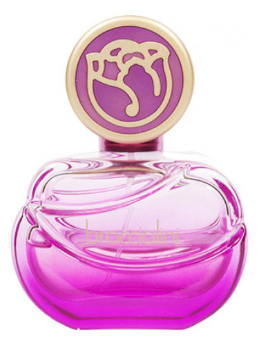 عطر ادکلن براقچالینی ومن براچیالینی - Braccialini Women Braccialini - بررسی، قیمت و خرید