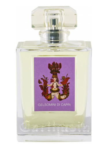 عطر ادکلن جِلزومینی دی کاپری دوهزار و هفده کارتوزیا - Gelsomini di Capri 2017 Carthusia - بررسی، قیمت و خرید