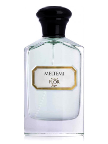 عطر ادکلن ملتمی آکوافور فلورانس - Meltemi Aquaflor Firenze - بررسی، قیمت و خرید
