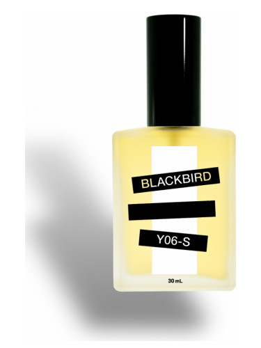عطر ادکلن وای شش اس بلک‌برد - Y06-S Blackbird - بررسی، قیمت و خرید