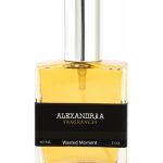 عطر ادکلن ویستد مومنت الکساندریا فرگرنسز - Wasted Moment Alexandria Fragrances - بررسی، قیمت و خرید
