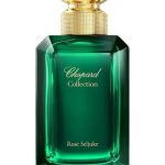 عطر ادکلن رز سلجوقه شوپارد - Rose Seljuke Chopard - بررسی، قیمت و خرید