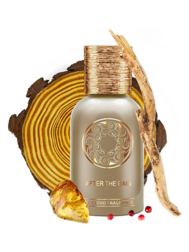 عطر ادکلن افتر د رین بای کلاود - After The Rain By Cloud - بررسی، قیمت و خرید