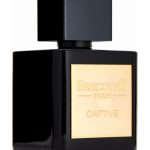 عطر ادکلن کپتیو بریکورت - Captive Brecourt - بررسی، قیمت و خرید