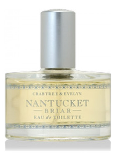 عطر ادکلن نانتاکت بریار کرابتری اند اولین - Nantucket Briar Crabtree & Evelyn - بررسی، قیمت و خرید