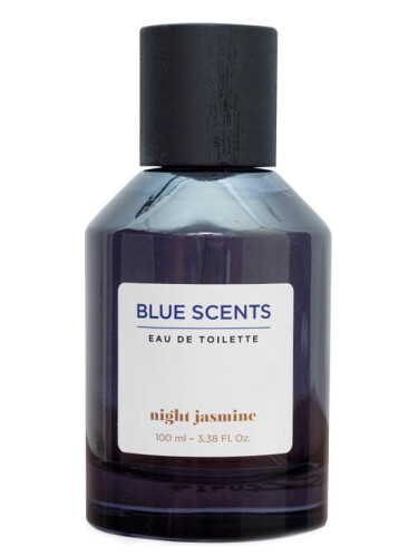 عطر ادکلن نایت جاسمین بلو سنتس - Night Jasmine Blue Scents - بررسی، قیمت و خرید