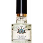 عطر ادکلن سنچریز وربنا کازول ماسی - Centuries Verbena Caswell Massey - بررسی، قیمت و خرید