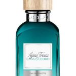 عطر ادکلن اگوا فرسکا سیترس سدر آدولفو دومینگوز - Agua Fresca Citrus Cedro Adolfo Dominguez - بررسی، قیمت و خرید