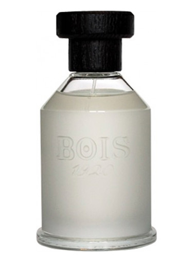 عطر ادکلن سوپرا ایل ماره بوی ۱۹۲۰ - Sopra Il Mare Bois 1920 - بررسی، قیمت و خرید