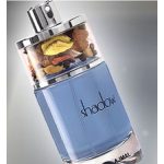 عطر ادکلن شدو گری اجمل - Shadow Grey Ajmal - بررسی، قیمت و خرید