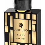 عطر ادکلن ادو لفو بلک فور من آدولفو فراگرنسز - Adolfo Black For Men Adolfo Fragrances - بررسی، قیمت و خرید