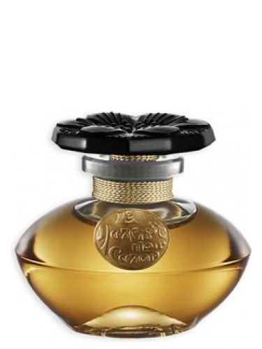 عطر ادکلن نارسیس نوآر کارن - Narcisse Noir Caron - بررسی، قیمت و خرید