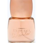 عطر ادکلن اندلس واندر آراپستال - Endless Wonder Aéropostale - بررسی، قیمت و خرید