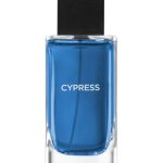عطر ادکلن سایپرس بث اند بادی ورکس - Cypress Bath & Body Works - بررسی، قیمت و خرید