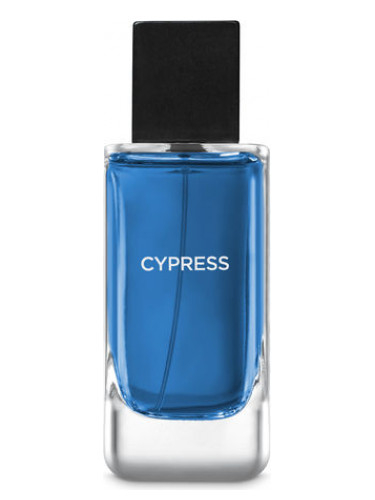 عطر ادکلن سایپرس بث اند بادی ورکس - Cypress Bath & Body Works - بررسی، قیمت و خرید