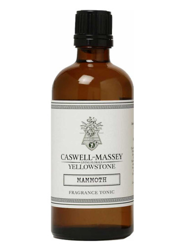 عطر ادکلن مَمِث فریگرَنس تونیک کَس‌وِل مَسی - Mammoth Fragrance Tonic Caswell Massey - بررسی، قیمت و خرید