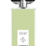 عطر ادکلن سینفول وود کلمانت بی - Sinful Wood Clement B - بررسی، قیمت و خرید