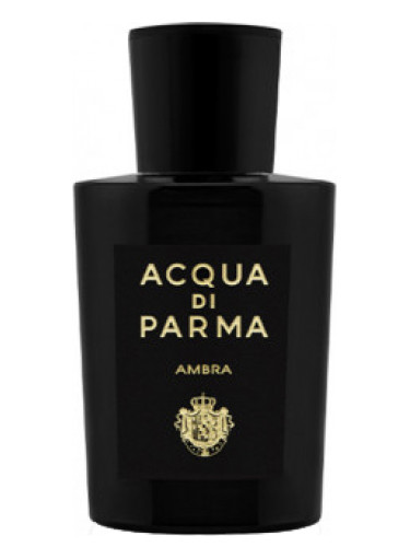 عطر ادکلن آمبره او دو پارفوم آکوا دی پارما - Ambra Eau de Parfum Acqua di Parma - بررسی، قیمت و خرید