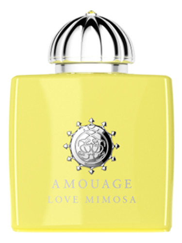 عطر ادکلن لاو میموزا آمواژ - Love Mimosa Amouage - بررسی، قیمت و خرید