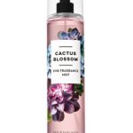 عطر ادکلن ککتوس بلاسوم بث اند بادی ورکس - Cactus Blossom Bath & Body Works - بررسی، قیمت و خرید