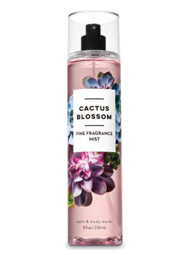 عطر ادکلن ککتوس بلاسوم بث اند بادی ورکس - Cactus Blossom Bath & Body Works - بررسی، قیمت و خرید
