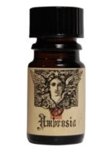 عطر ادکلن امبروزیا آرکانا وایلدکرافت - Ambrosia Arcana Wildcraft - بررسی، قیمت و خرید